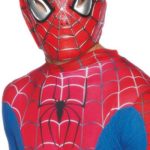 Spiderman Mask