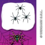 Spiders - 2 Neon and SpiderWeb with 3 Spiders