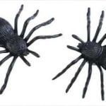 Spiders