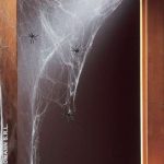 Spiderwebs with 20 Spiders