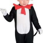 The cat in the hat