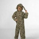 Tiger costume