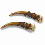 Tooth Earrings