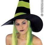 Velvet Witch Hat With Hair Green