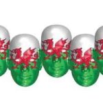 Wales Flag Mask