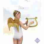 Wings - Gold Feather